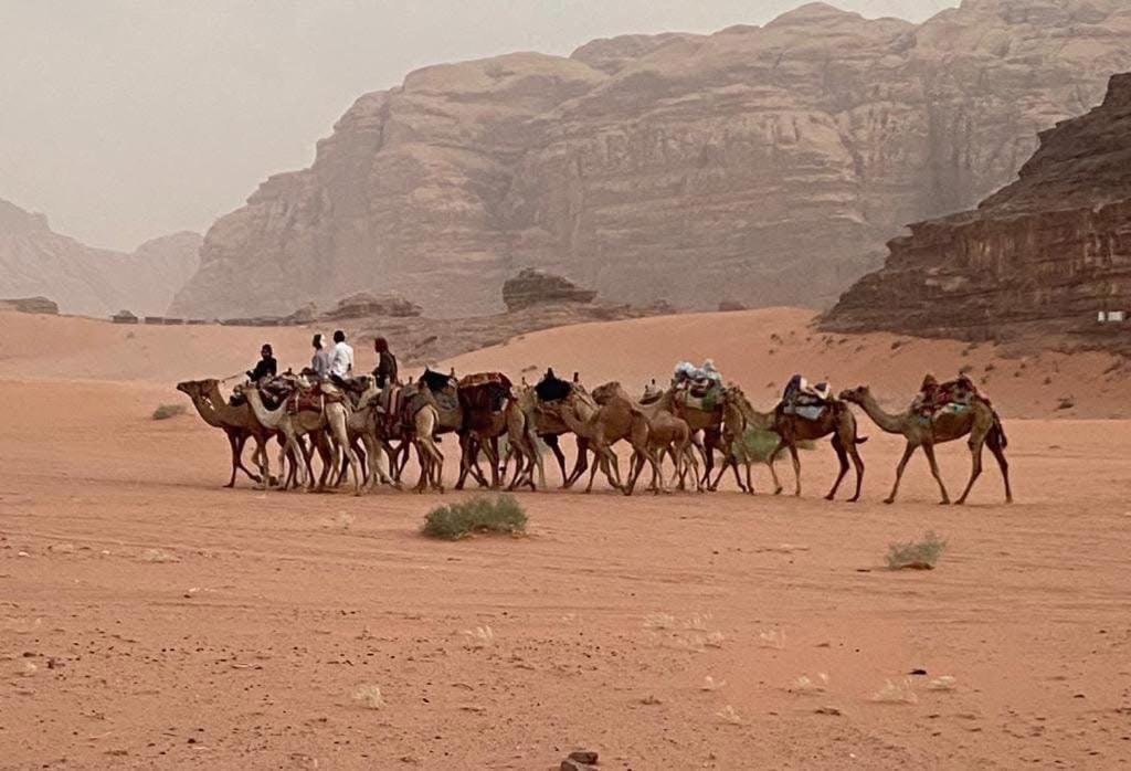 Wadi Rum Trail מראה חיצוני תמונה