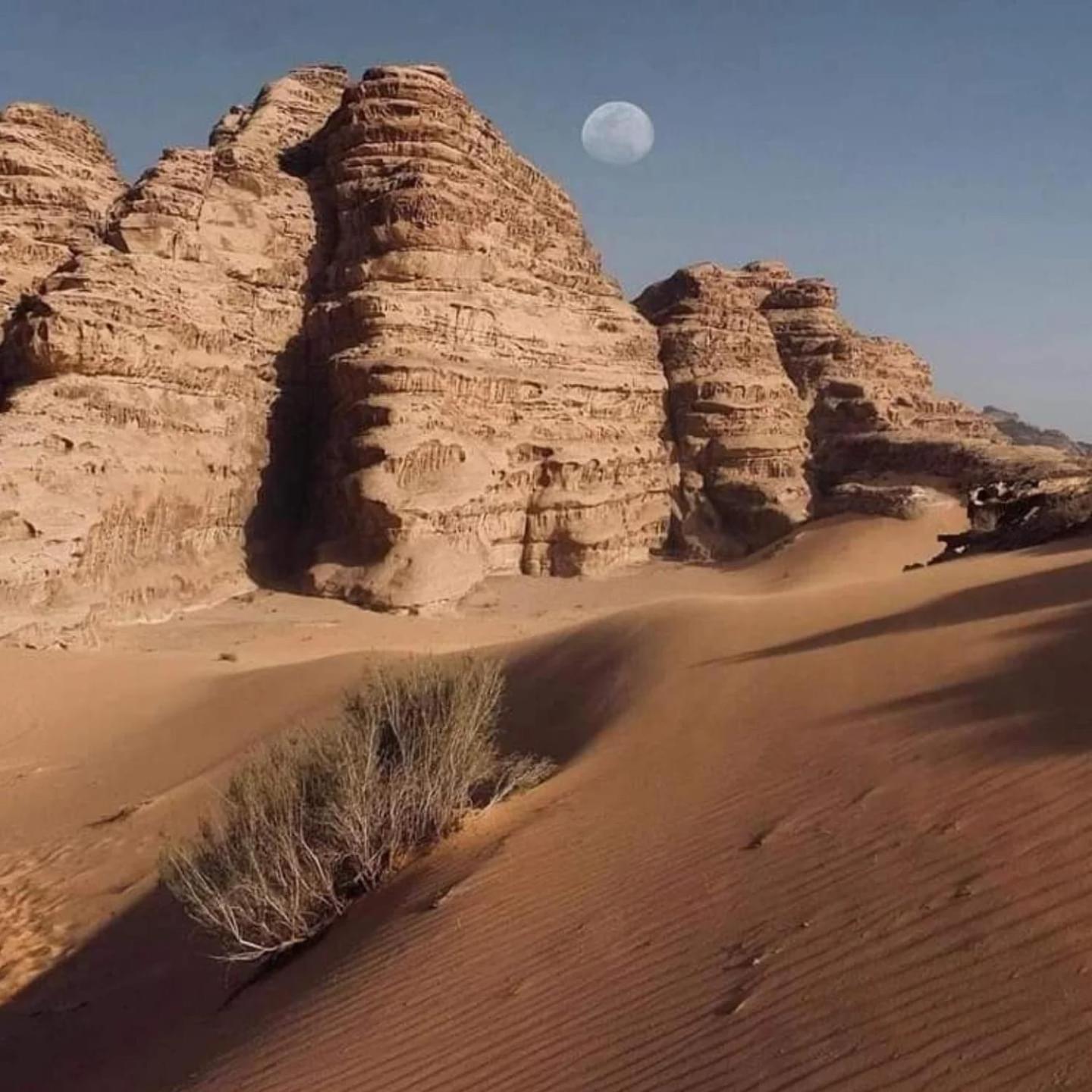 Wadi Rum Trail מראה חיצוני תמונה
